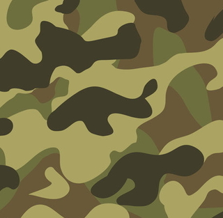 camo.jpg